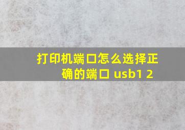 打印机端口怎么选择正确的端口 usb1 2